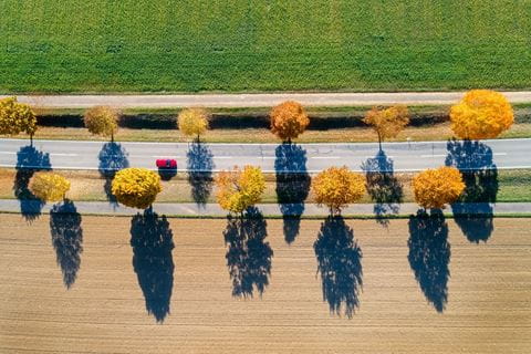 Large-GettyImages-1060154392