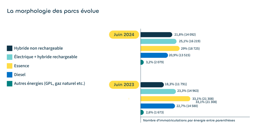 La morphologie des parcs volue - Juin 2024