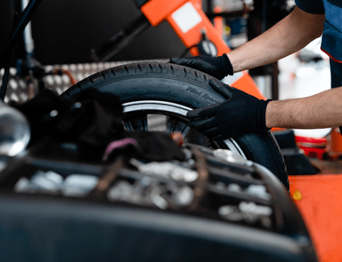 Large PNG-NL_18_01 04